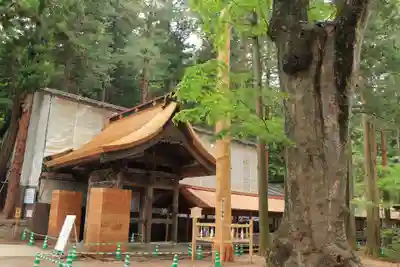 諏訪大社(長野県)
