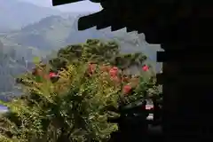 国宝 大法寺の自然