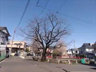 寺谷弁才天の自然