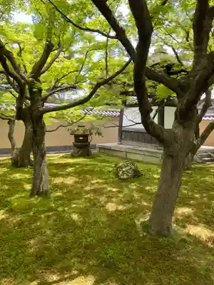 黄梅院(京都府)