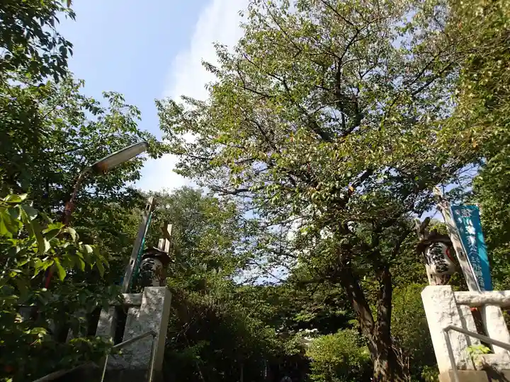 芝東照宮の自然