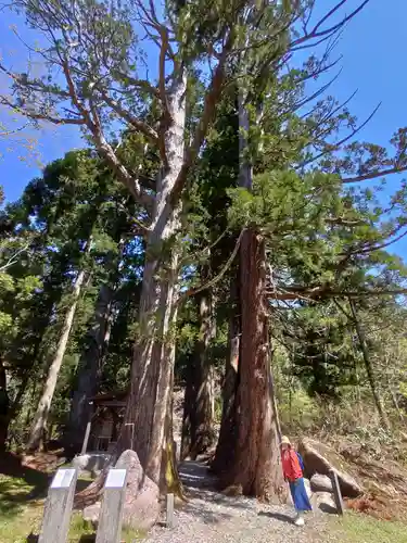 白山中居神社の自然