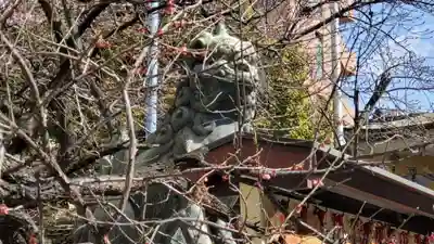 綱敷天神社の狛犬