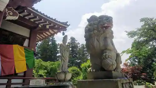 天龍寺の狛犬