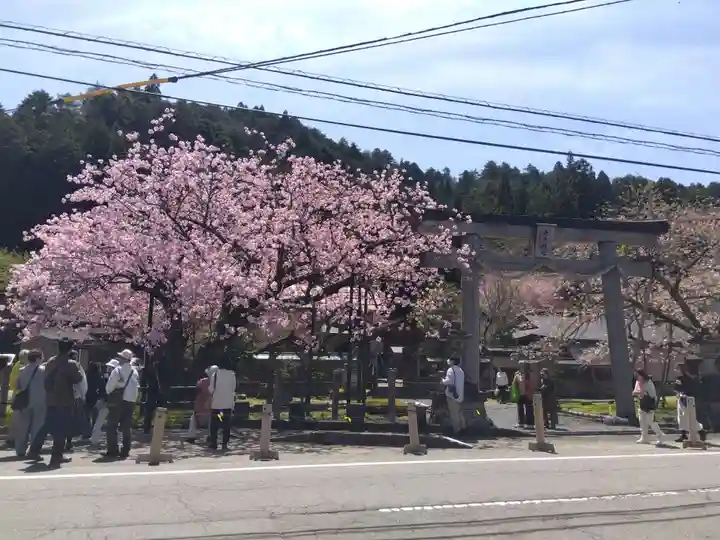 春日神社(京都府)
