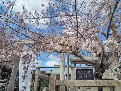 生野八坂神社の自然