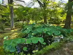 廣隆寺(京都府)