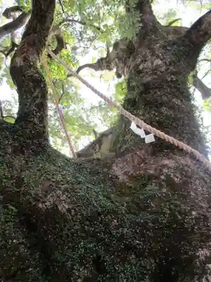 熊野那智大社(和歌山県)