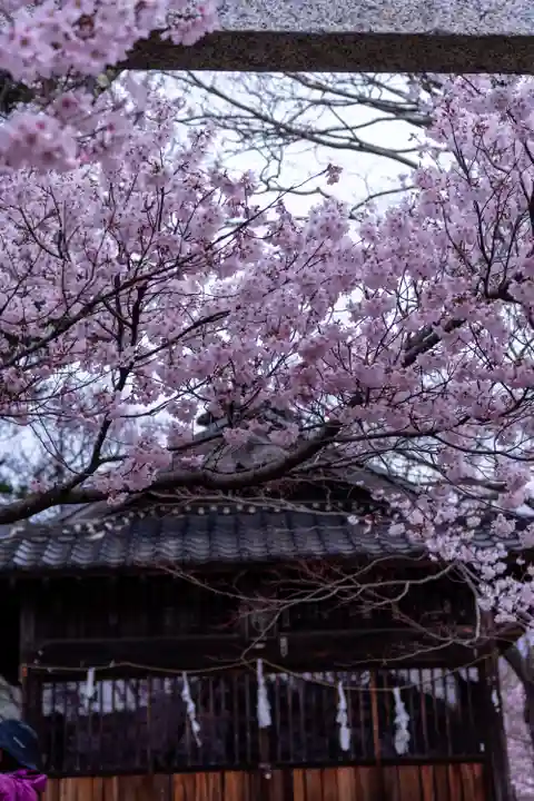 新城藤原神社(長野県)