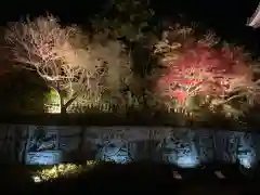 南法華寺（壷阪寺）(奈良県)