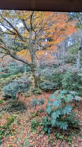 三千院門跡(京都府)