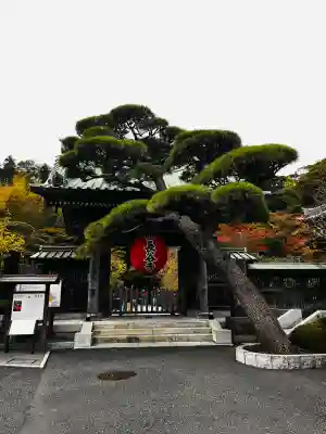 長谷寺の山門・神門