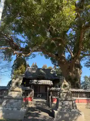熊野速玉神社の{uncategorized: "未分類", other: "その他", undefined: "問題あり", building: "その他建物", grave: "お墓", sacred_gate: "鳥居", guardian: "狛犬", statue: "像", buddha: "仏像", history: "歴史", nature: "自然", garden: "庭園", animal: "動物", pagoda: "塔", temizu: "手水舎", mountain_gate: "山門・神門", sanctuary: "本殿・本堂", subordinate: "末社・摂社", art: "芸術", scenery: "景色", jizo: "地蔵", ema: "絵馬", goshuin: "御朱印", omikuji: "おみくじ", items: "授与品その他", amulet: "お守り", goshuincho: "御朱印帳", eats: "食事", festival: "お祭り", votive_dance: "神楽", shichigosan: "七五三参", wedding: "結婚式", experience: "体験その他", initially: "初詣", around: "周辺", anti_infection: "感染症対策"}