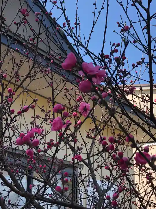 境香取神社の自然