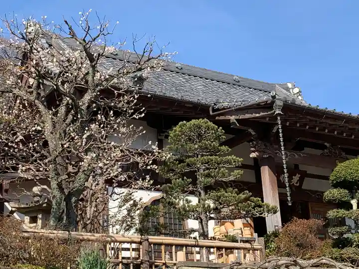 光明寺の本殿・本堂