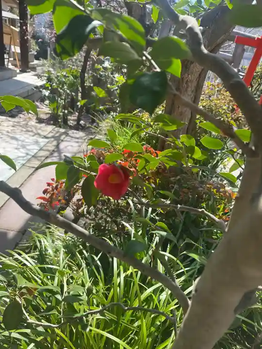 一宮神社の{uncategorized: "未分類", other: "その他", undefined: "問題あり", building: "その他建物", grave: "お墓", sacred_gate: "鳥居", guardian: "狛犬", statue: "像", buddha: "仏像", history: "歴史", nature: "自然", garden: "庭園", animal: "動物", pagoda: "塔", temizu: "手水舎", mountain_gate: "山門・神門", sanctuary: "本殿・本堂", subordinate: "末社・摂社", art: "芸術", scenery: "景色", jizo: "地蔵", ema: "絵馬", goshuin: "御朱印", omikuji: "おみくじ", items: "授与品その他", amulet: "お守り", goshuincho: "御朱印帳", eats: "食事", festival: "お祭り", votive_dance: "神楽", shichigosan: "七五三参", wedding: "結婚式", experience: "体験その他", initially: "初詣", around: "周辺", anti_infection: "感染症対策"}