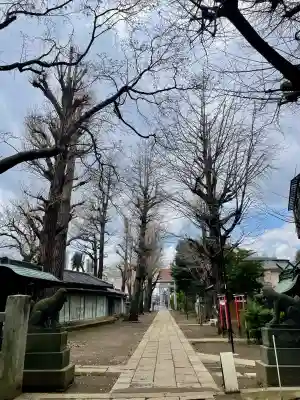 駒込天祖神社(東京都)
