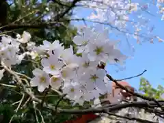 滑川神社 - 仕事と子どもの守り神の自然