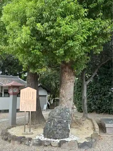 大阪護國神社(大阪府)