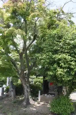 水神社と地蔵尊(奈良県)