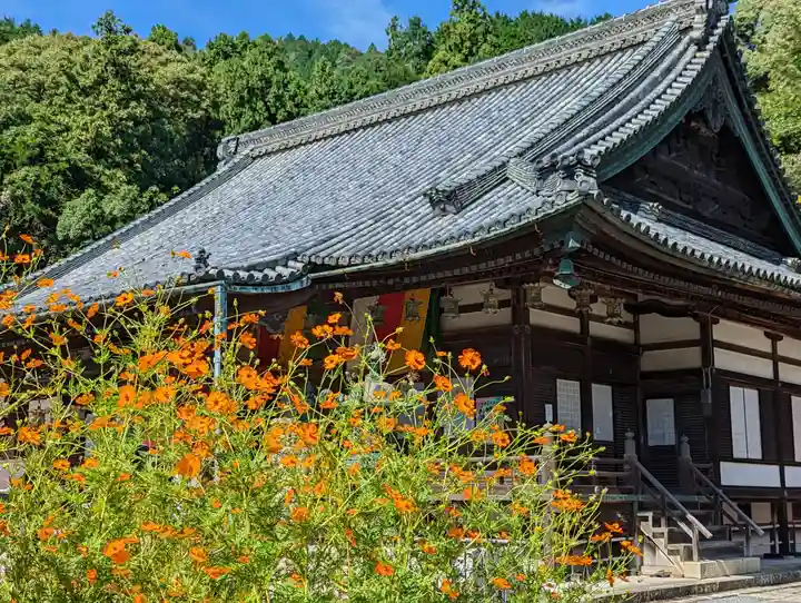 柳谷観音 楊谷寺(京都府)