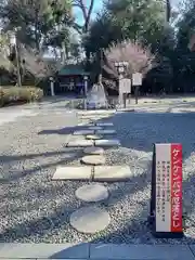 櫻木神社の体験その他