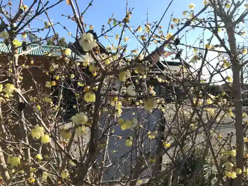 鶴峯八幡宮(千葉県)