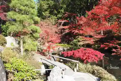 くろ谷 金戒光明寺(京都府)
