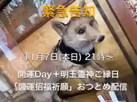 長光寺(長野県)