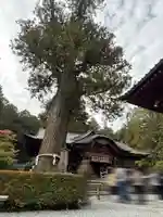 北口本宮冨士浅間神社(山梨県)
