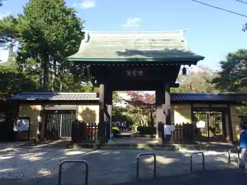 豪徳寺の山門