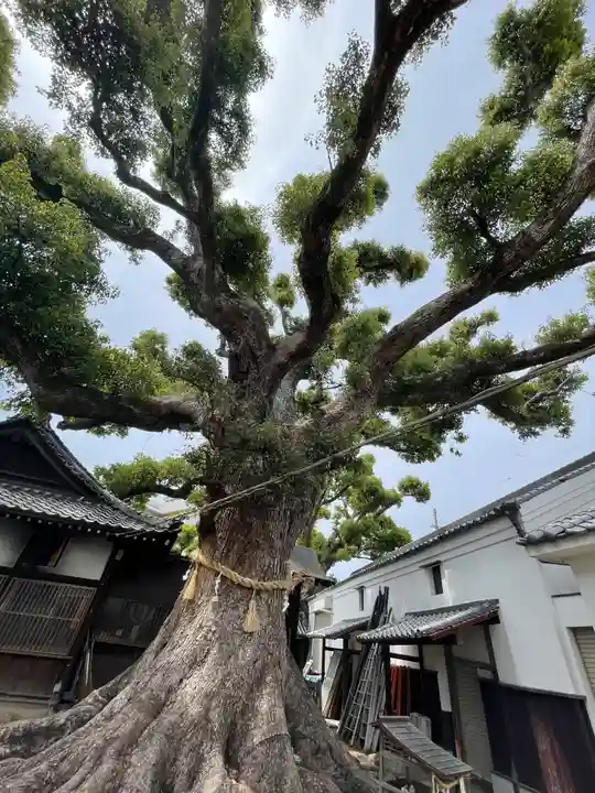 大念佛寺の自然