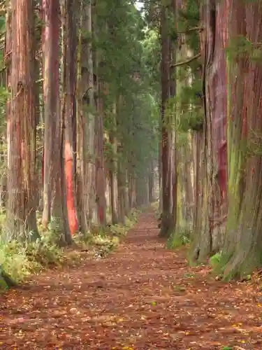 戸隠神社奥社の自然