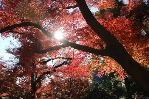 明王院（満願寺別院）の自然