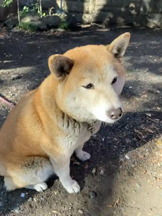 笠䅣稲荷神社(神奈川県)
