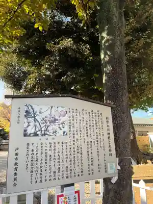 新曽氷川神社(埼玉県)