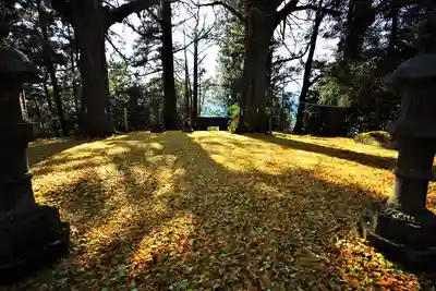 大石見神社の自然