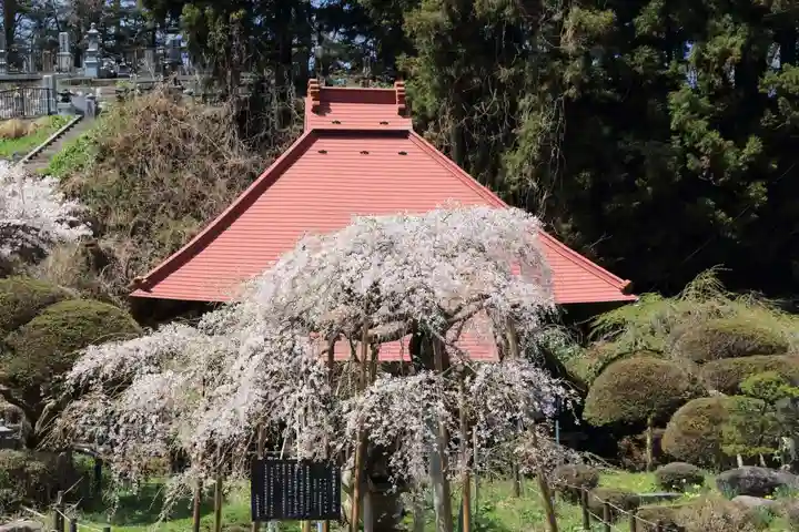 無量寺の本殿・本堂
