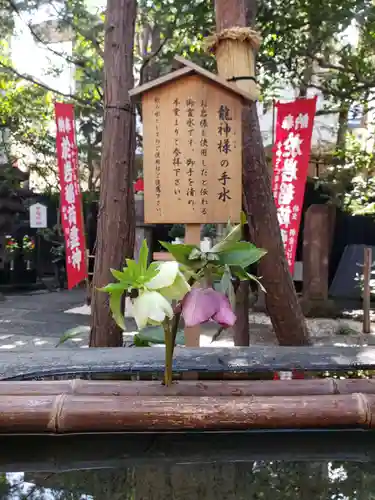 陽運寺(東京都)