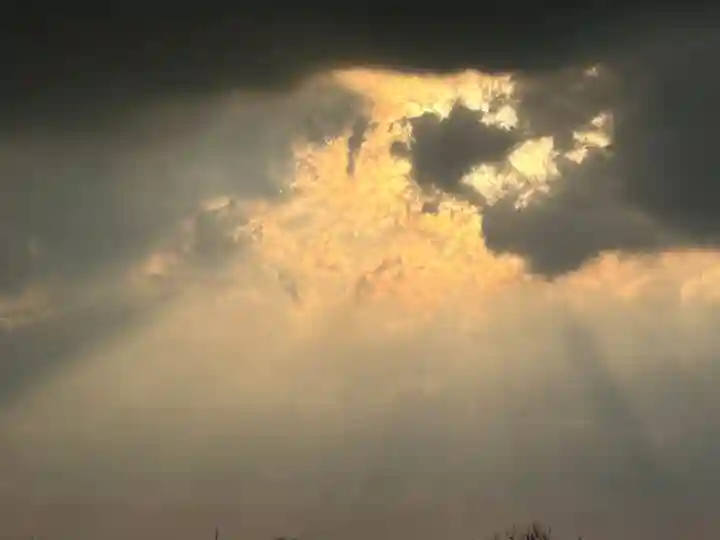 雀神社(茨城県)