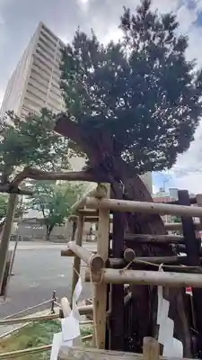 歌懸稲荷神社(山形県)