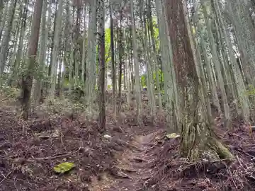 浄蓮庵(徳島県)