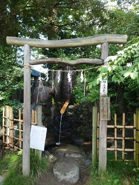 越ヶ谷久伊豆神社の手水舎