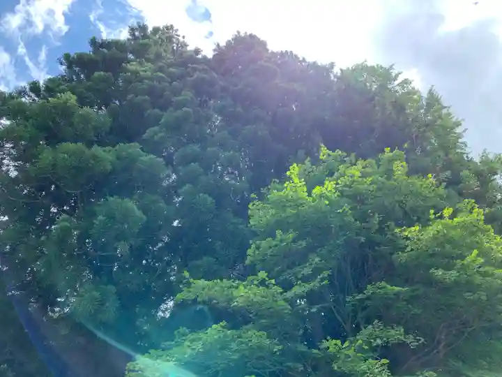 駒嶽神社の自然