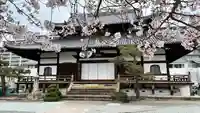 本泉寺の本殿・本堂
