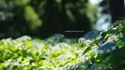 三室戸寺(京都府)