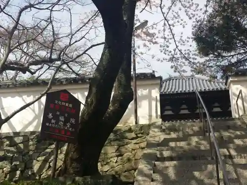 善福院釈迦堂のその他建物