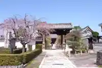妙顯寺(妙顕寺)(京都府)
