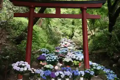 岡寺（龍蓋寺）(奈良県)