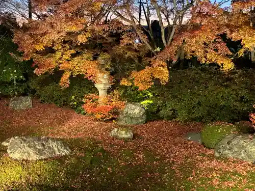 天得院(京都府)